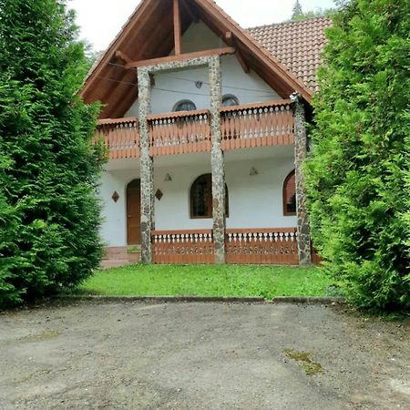Vila Luca'S Кырцишоара Экстерьер фото