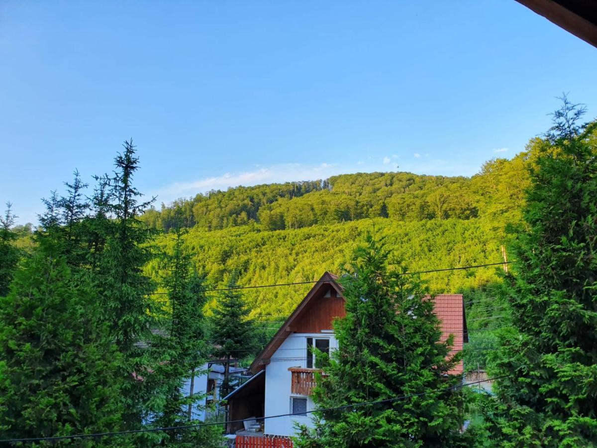 Vila Luca'S Кырцишоара Экстерьер фото