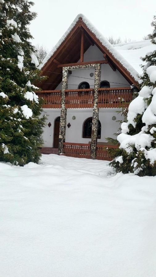 Vila Luca'S Кырцишоара Экстерьер фото